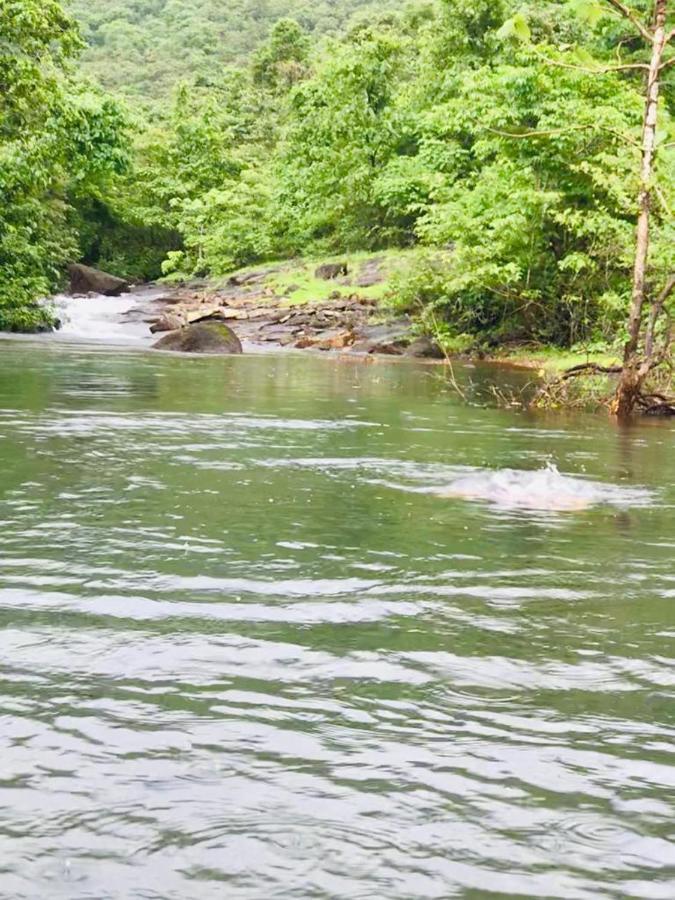 Rohan Homestay By Traviget Hospitality, Dapoli-Konkan Harnai Eksteriør billede