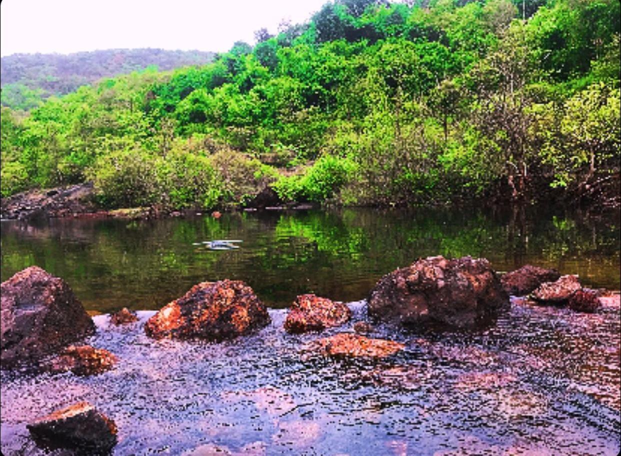 Rohan Homestay By Traviget Hospitality, Dapoli-Konkan Harnai Eksteriør billede